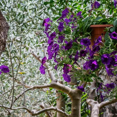 Feriehus Gance In Gustirna *