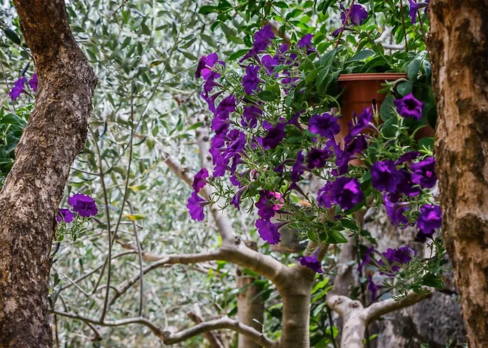 Feriehus Gance In Gustirna *